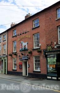 Picture of The Sportsman