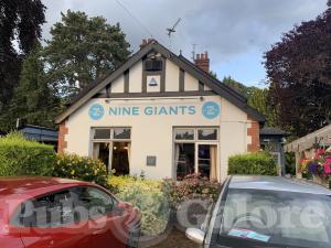 Picture of The Nine Giants