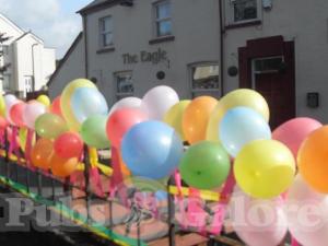Picture of The Eagle Inn