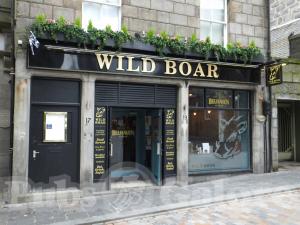 Picture of Wild Boar