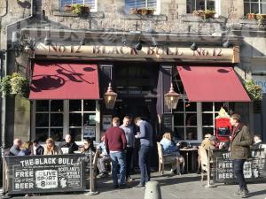 Picture of Black Bull