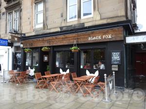 Picture of Black Fox