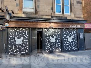 Picture of Black Fox