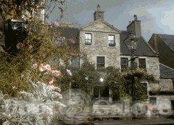 Picture of The Pear Tree