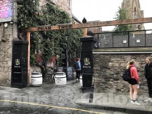 Picture of The Pear Tree