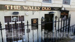 Picture of The Wally Dug