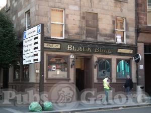 Picture of Black Bull