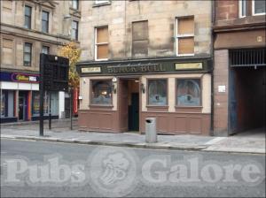 Picture of Black Bull