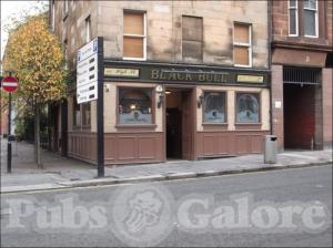 Picture of Black Bull