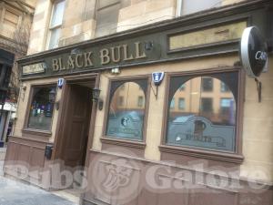 Picture of Black Bull