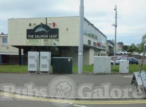 Picture of Salmon Leap