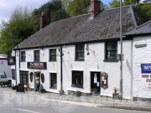 Picture of Bear Bar