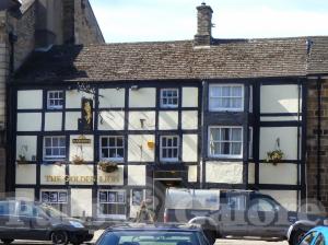 Picture of The Golden Lion
