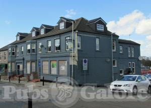 Picture of The Speedwell