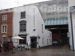 Picture of Phoenix