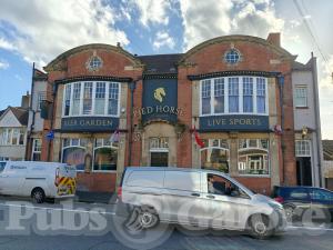 Picture of Pied Horse