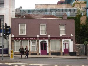 Picture of The Sea Horse