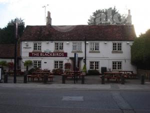 Picture of The Blackbirds