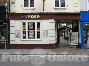 Picture of The Rose