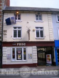 Picture of The Rose