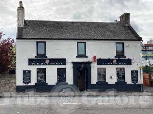 Picture of The Bay Horse
