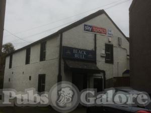 Picture of Black Bull