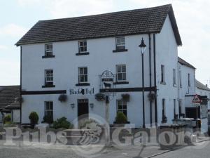 Picture of Black Bull