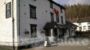 Picture of Glyn Valley Hotel