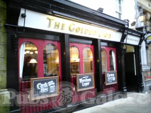 Picture of Golden Lion
