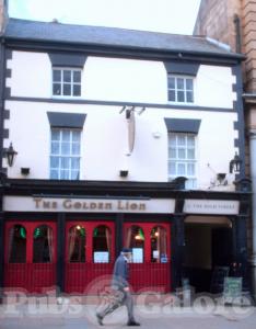 Picture of Golden Lion