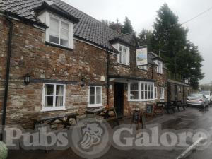 Picture of Druid Arms