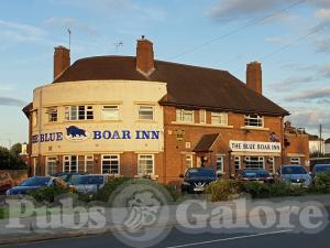 Picture of The Blue Boar Inn