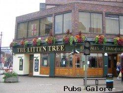 Picture of Litten Tree