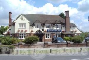 Picture of The Golden Crane