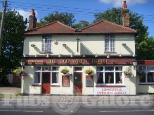 Picture of Old White Horse