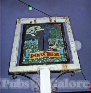 Picture of The Poacher