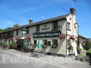 Picture of The Three Willows