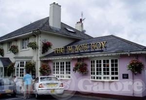 Picture of The Black Boy