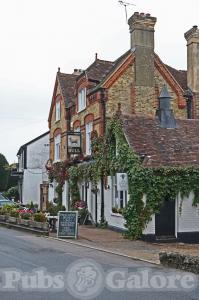 Picture of The Little Bull