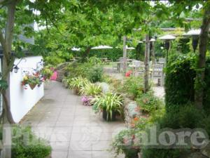 Picture of The Carpenters Arms