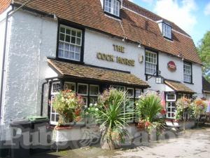 Picture of The Cock Horse