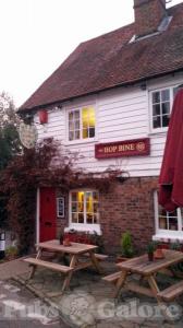 Picture of The Hopbine