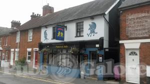 Picture of Punch & Judy