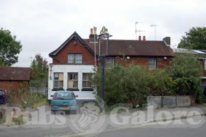 Picture of Stags Head