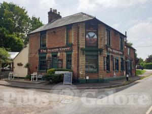 Picture of The Scared Crow