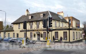 Picture of The Swan