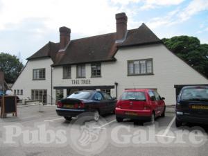 Picture of Chalk Hare