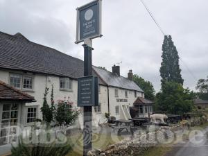 The White Bear