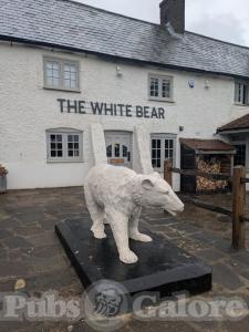 The White Bear