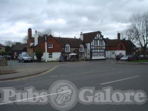 Picture of The White Lion